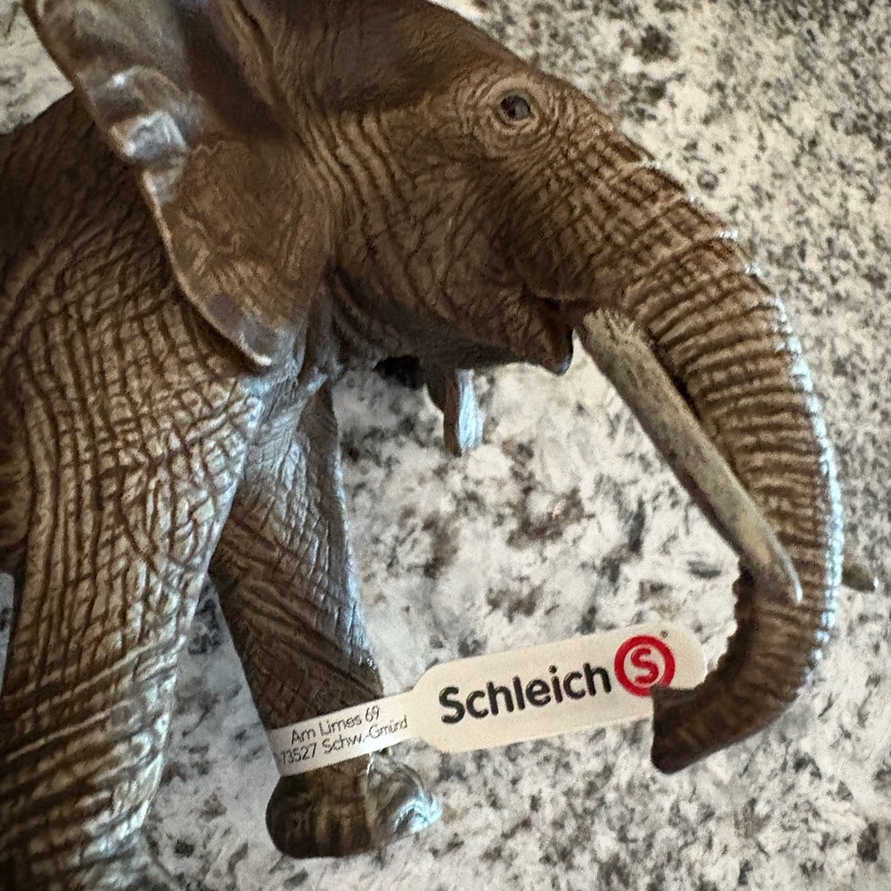 African elephant